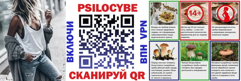 Купить  Дмитров  Псилоцибиновые грибы Psilocybe 